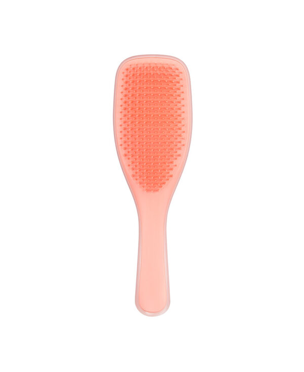 5060630044510 Glitter Coral 2