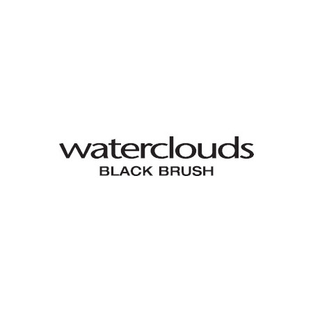 waterclouds blackbrush logo